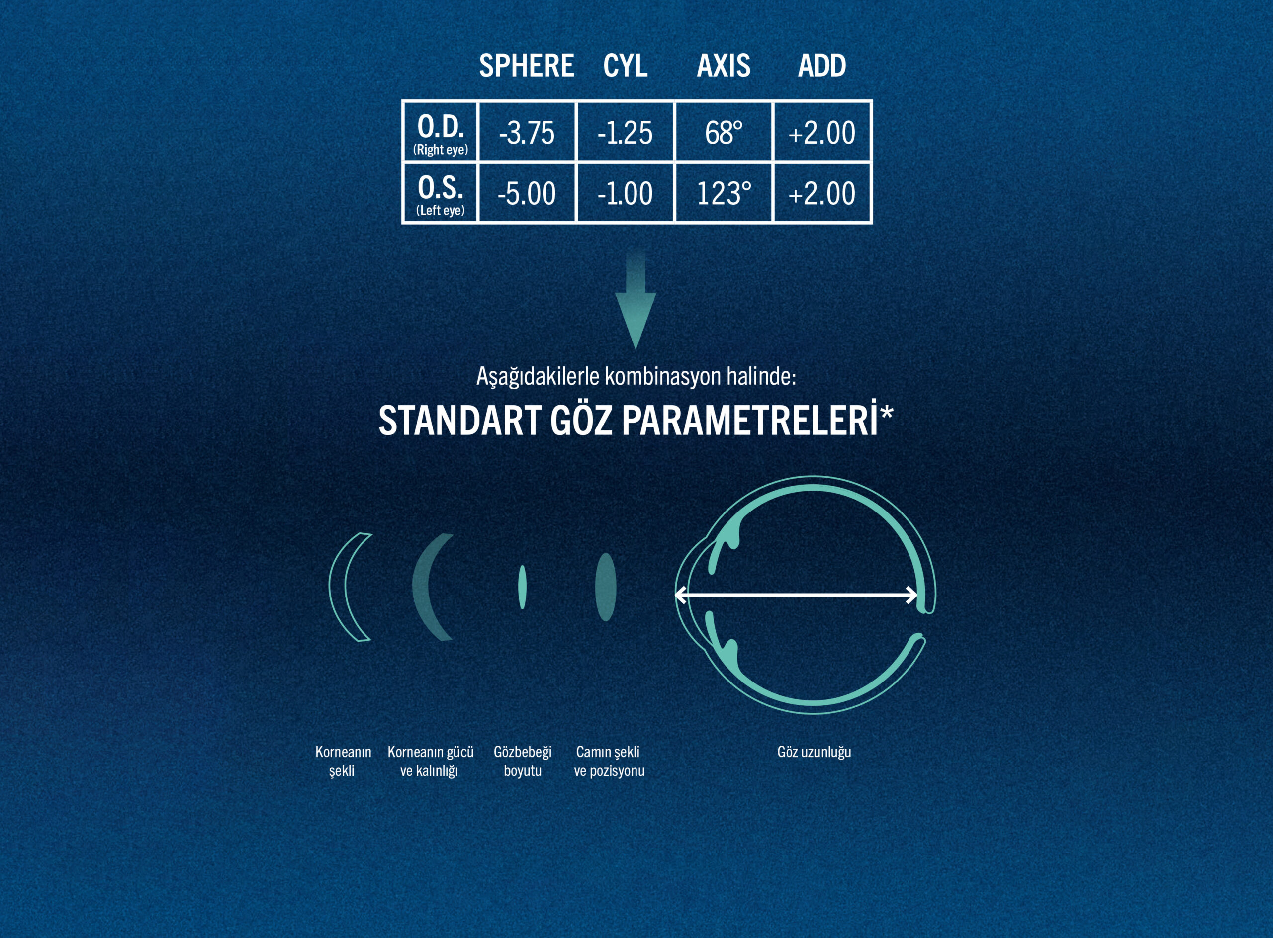 Standard Eye Test